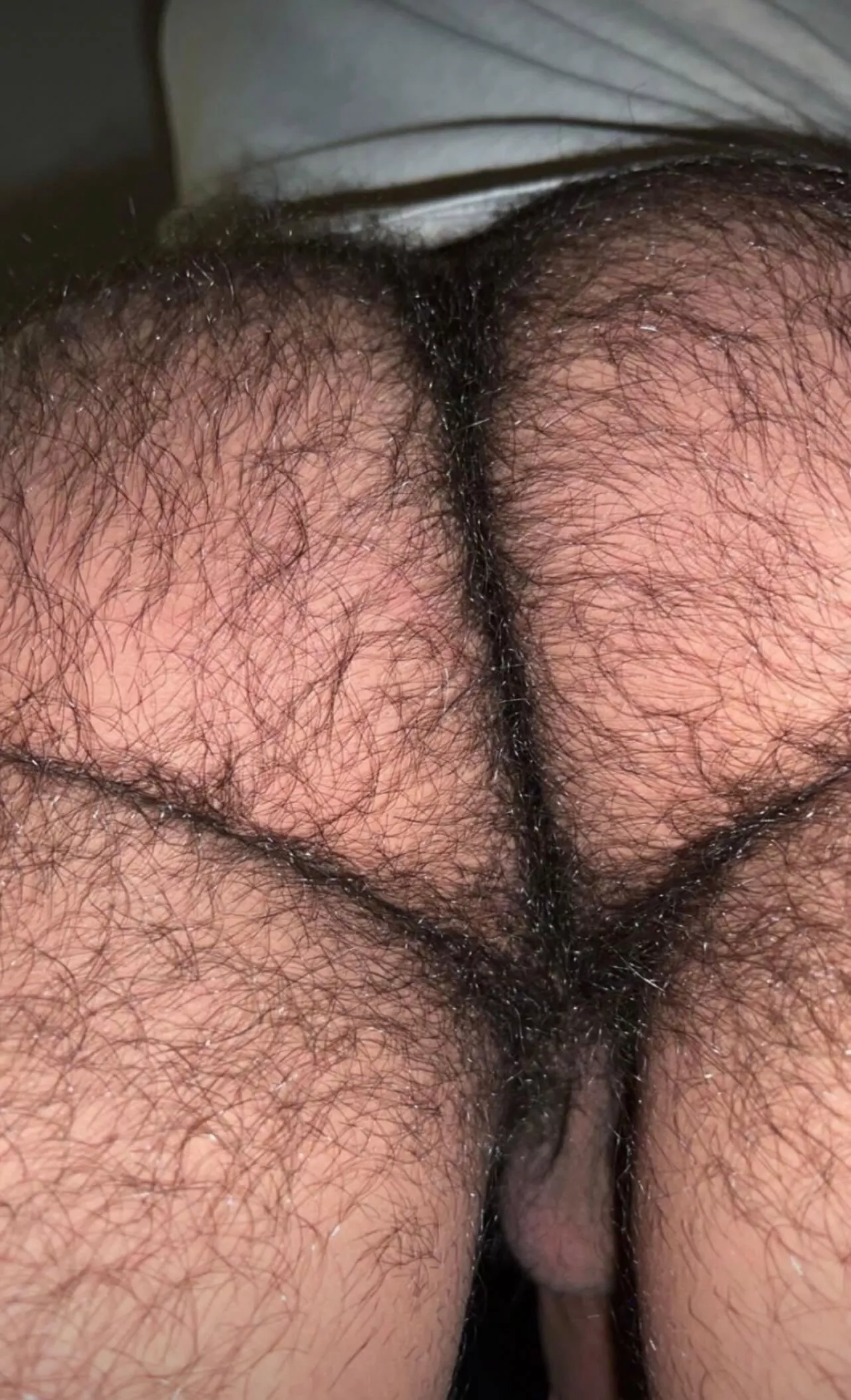 [30] Keep it hairy? OC posted by johnnyorac