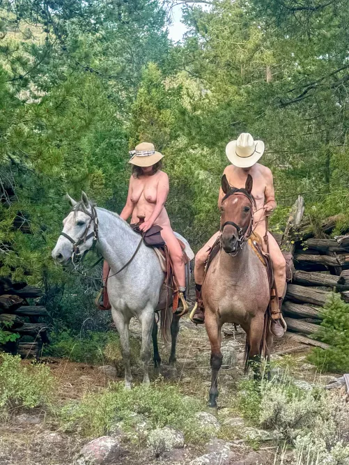 A little horsing Around 🌲 by baylaurelphoto