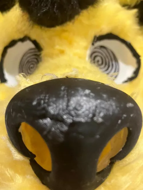 Boop!  by dizzy_thewolf