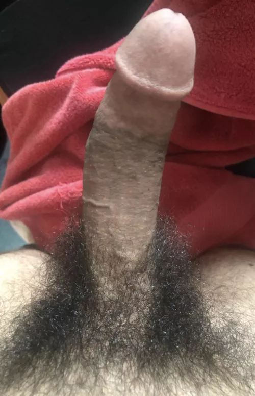 For your enjoyment by TruckDisastrous399