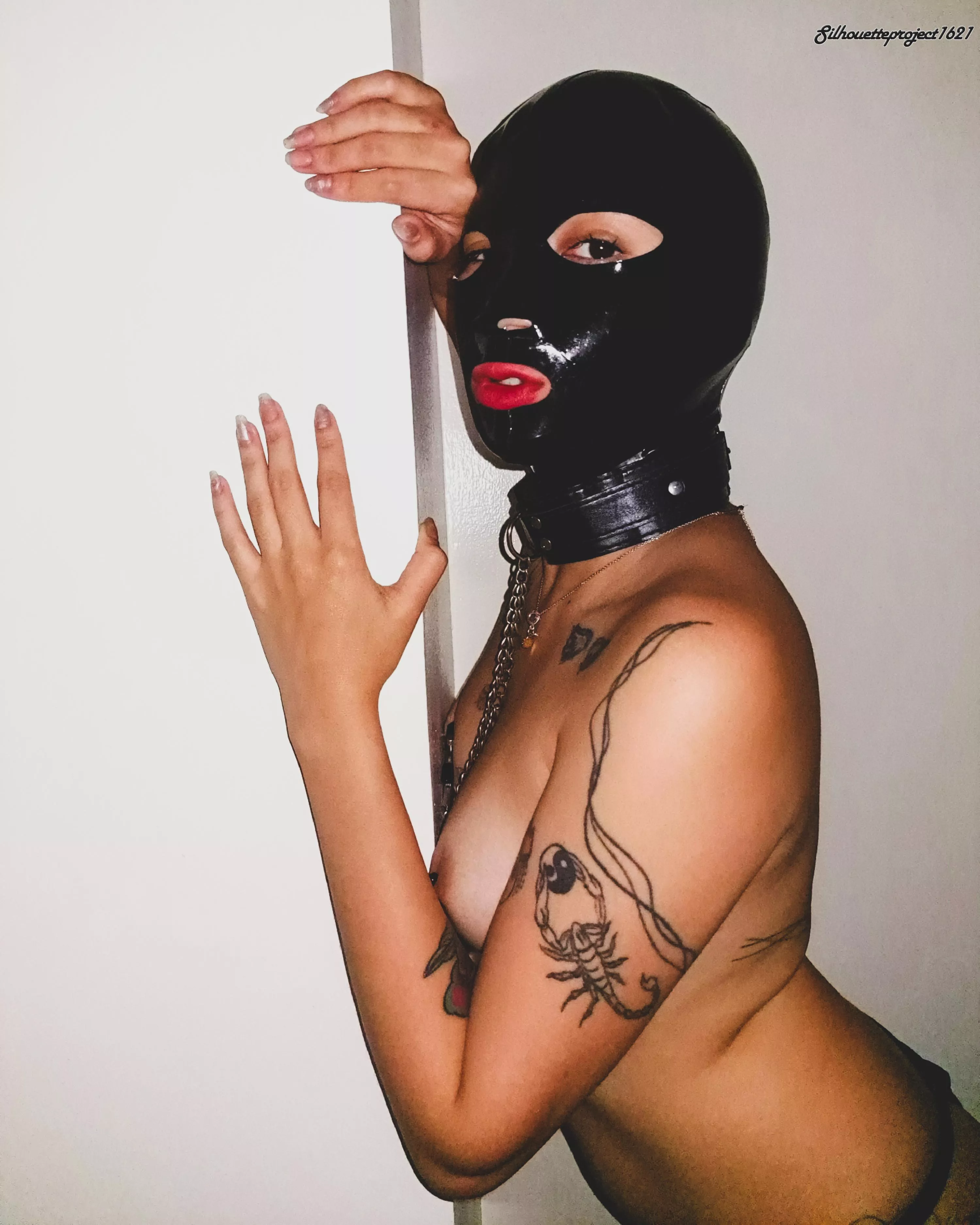 here we go ✨ posted by Silhouette_Project