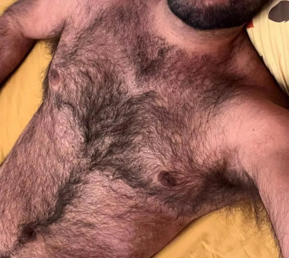 I love being hairy and smelling like a man  posted by gym-fur