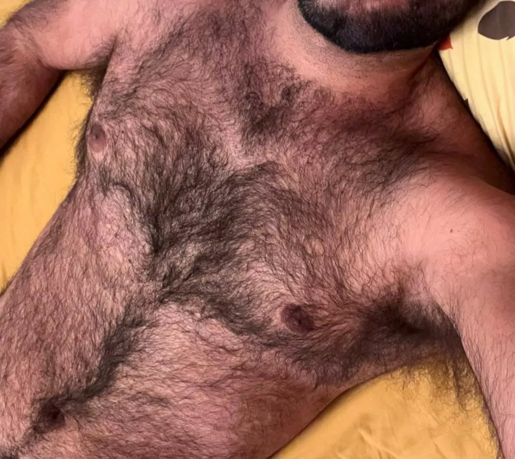 I love being hairy and smelling like a man  posted by gym-fur