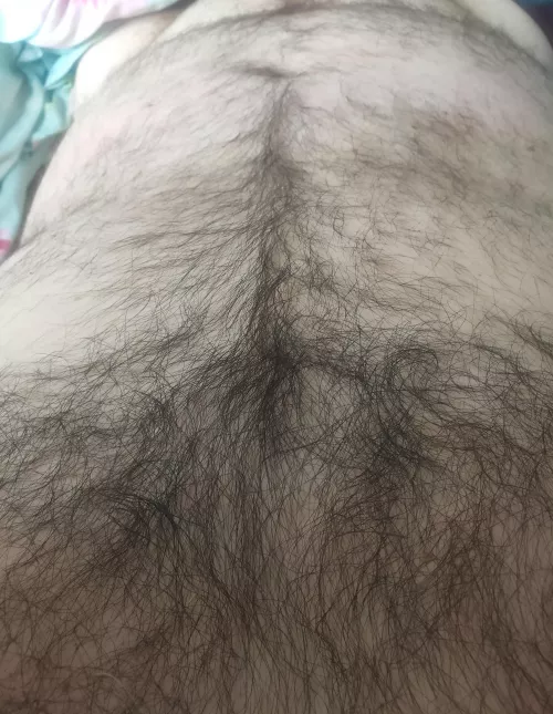 Morning time to relax  by HairyDiplodocus