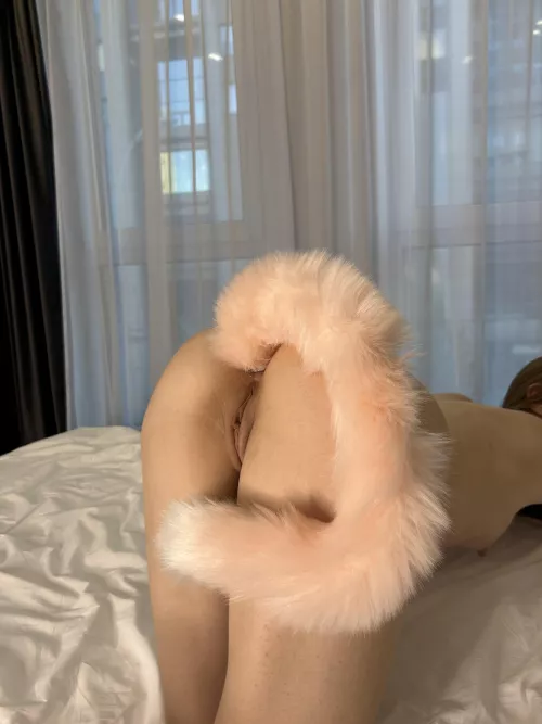 The cat loves to play with her owner by beauty_eyes