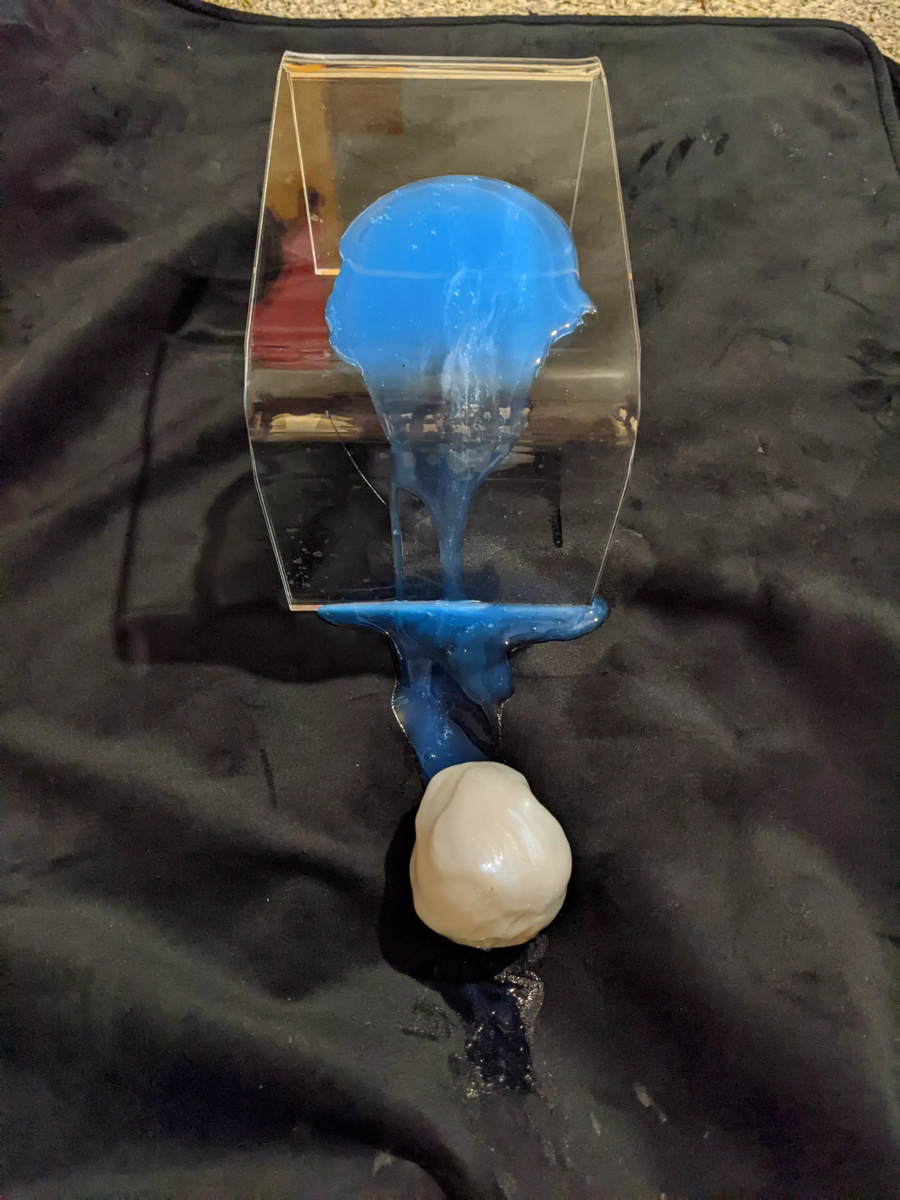 What happened here? Only wrong answers. [Leviathan - Fantasticocks] posted by windsingr