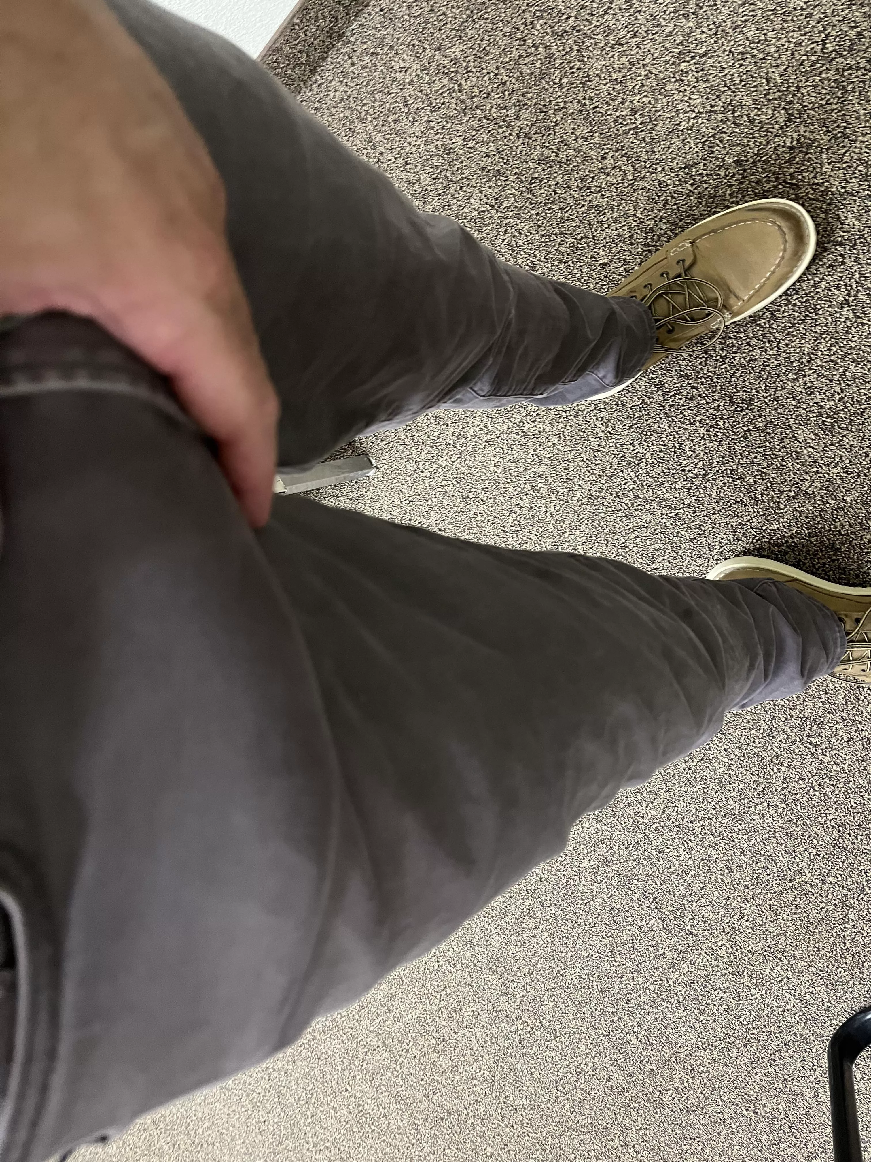 Work cock posted by canecorso8