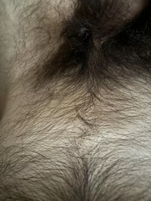 21 I think I’m half ape by jamessmith2235