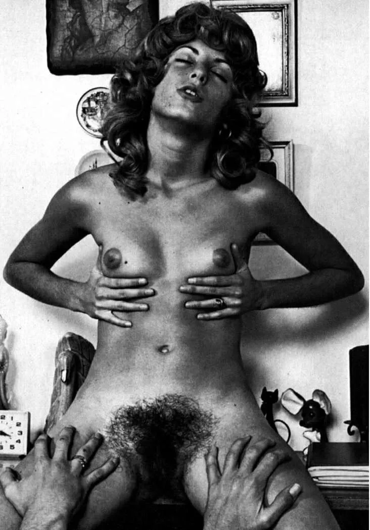 Artsy Small boobs and Bush photo from the 70’s  posted by here4damemz2