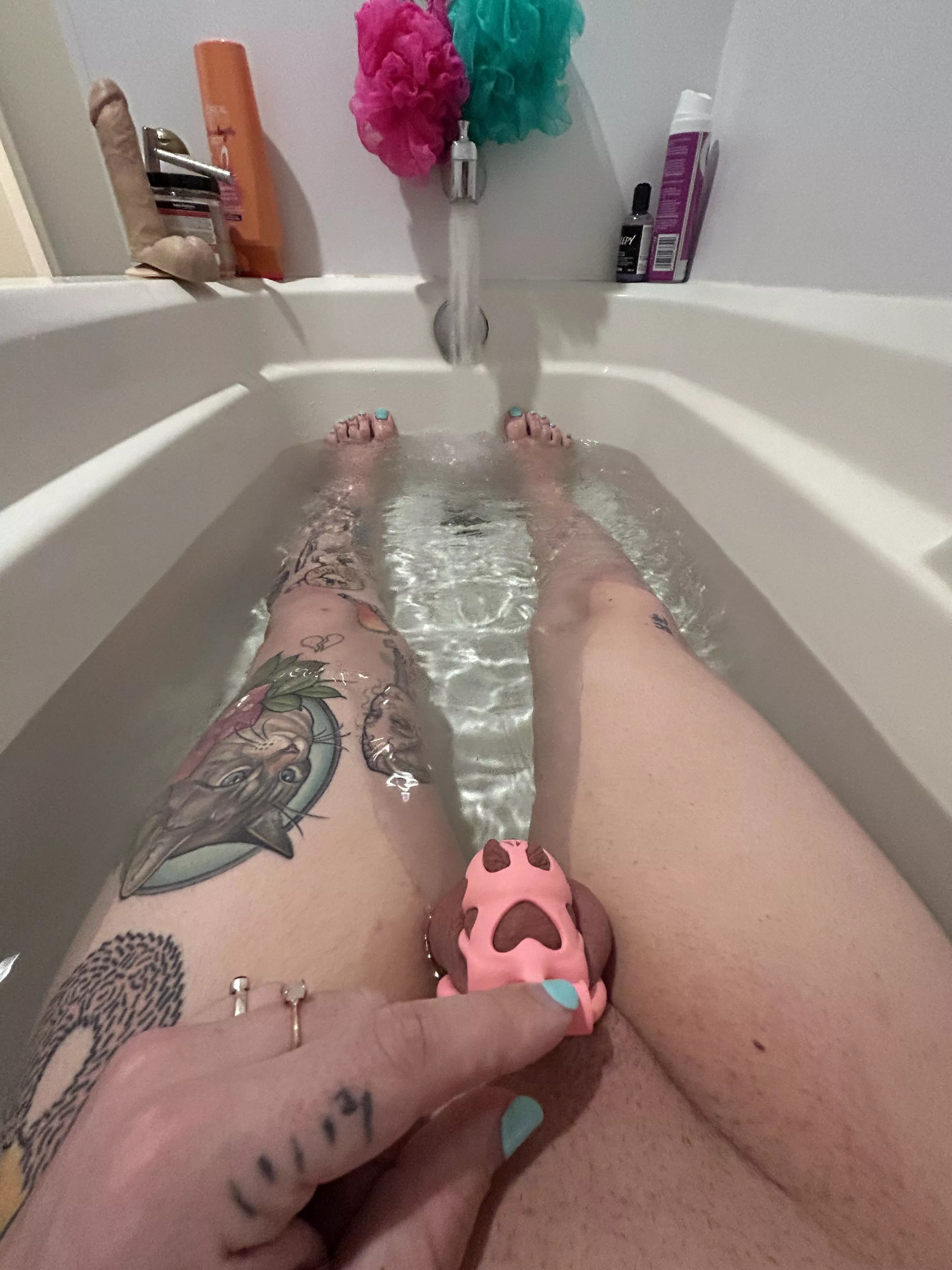 Caged in the bathtub 😸 posted by Economy_Childhood_20