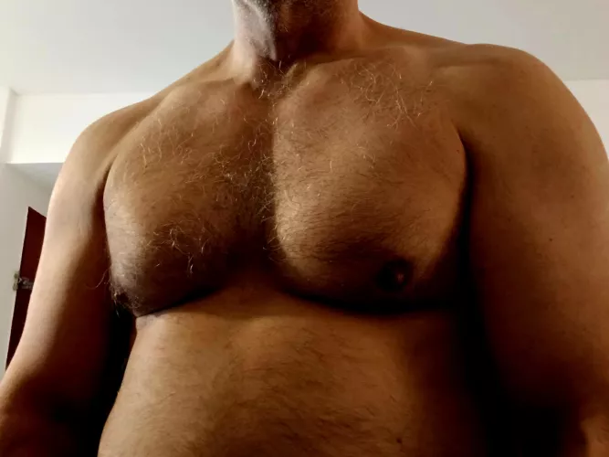 Come here and rub my pecs, boy... by musclepapi4