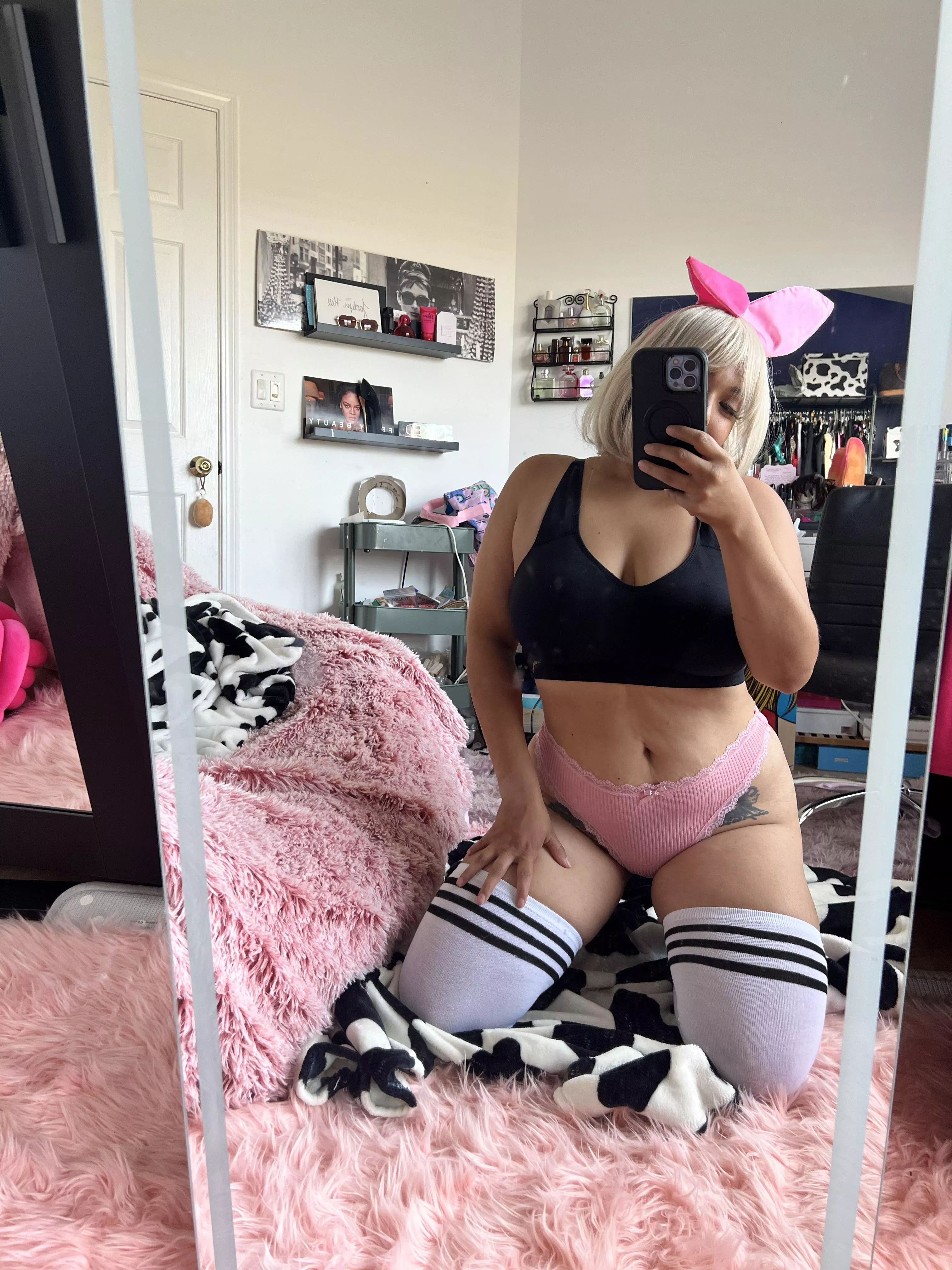 @hiddeninmyvalley chase the magic bunny  posted by pootahhh