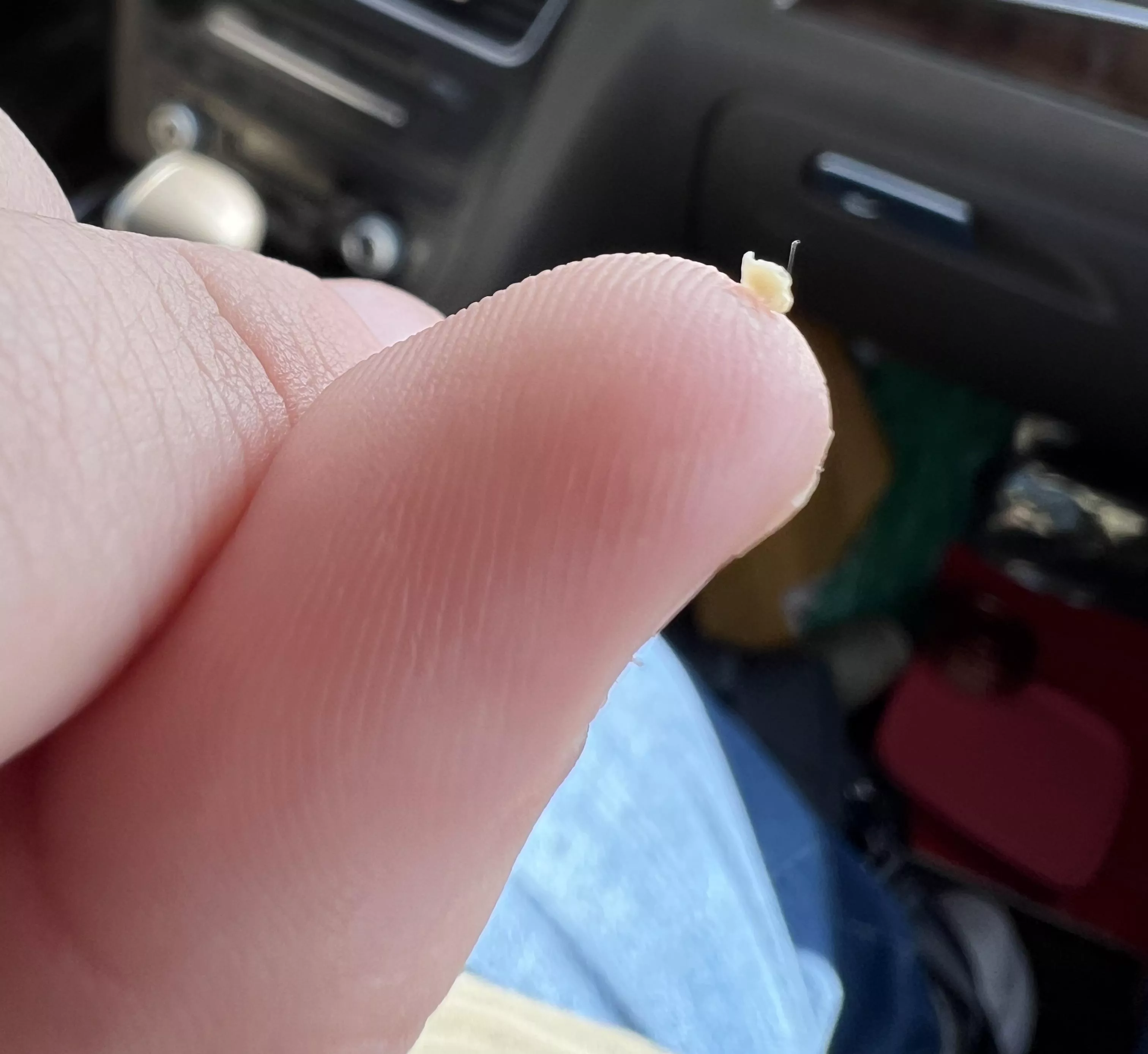 this guy came out of my back today posted by pawsg