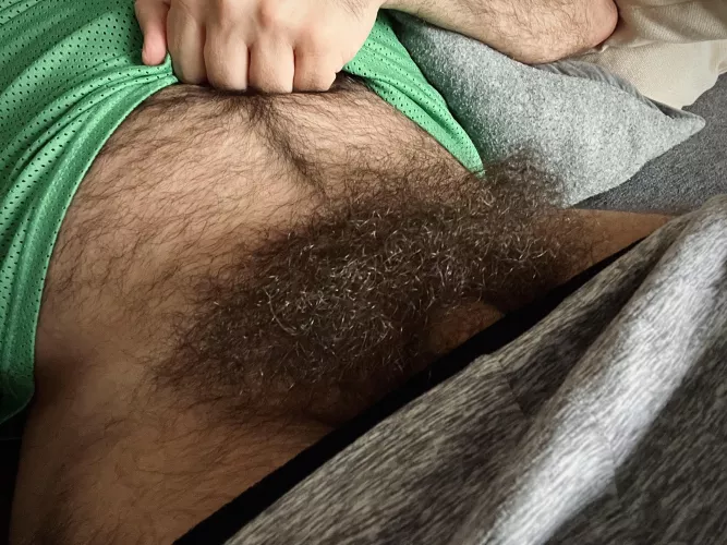 Would you call it a forest when it’s this big? by Otter_85