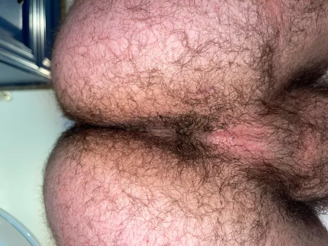 Anyone else got a jungle out back? by Enough_Citron_6006