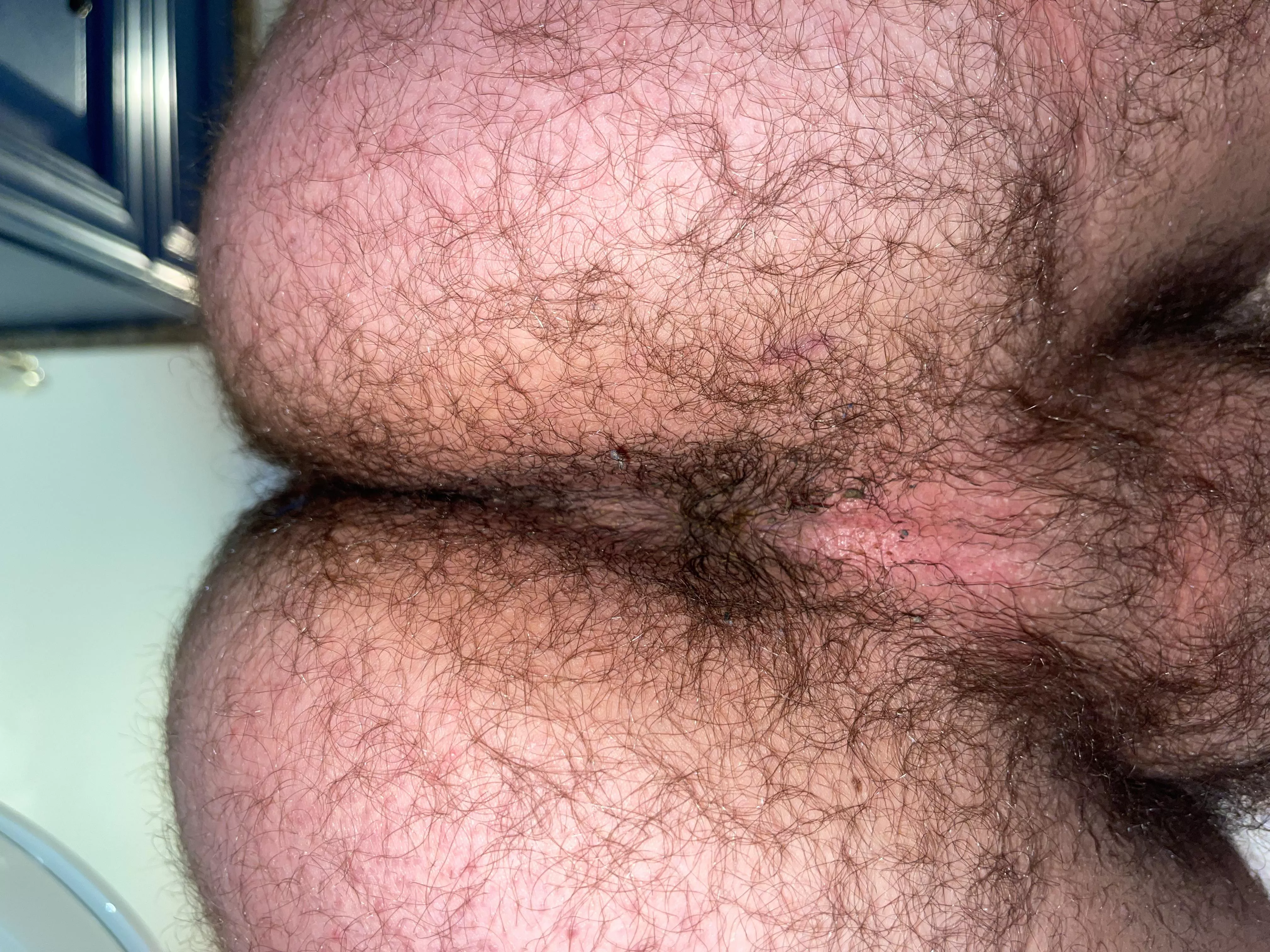 Anyone else got a jungle out back? posted by Enough_Citron_6006