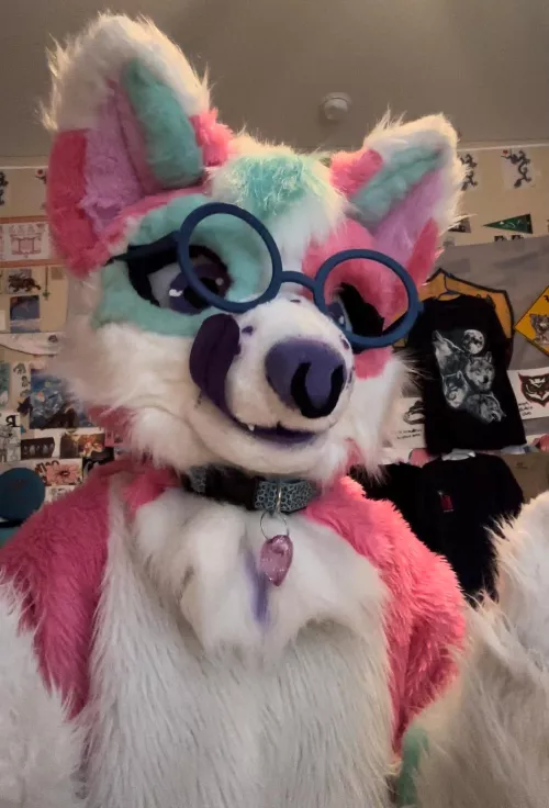 Do you like my collar? 🥺 by Ancient_Summer_1833