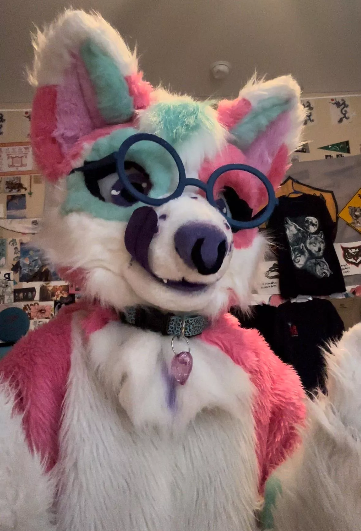 Do you like my collar? 🥺 posted by Ancient_Summer_1833