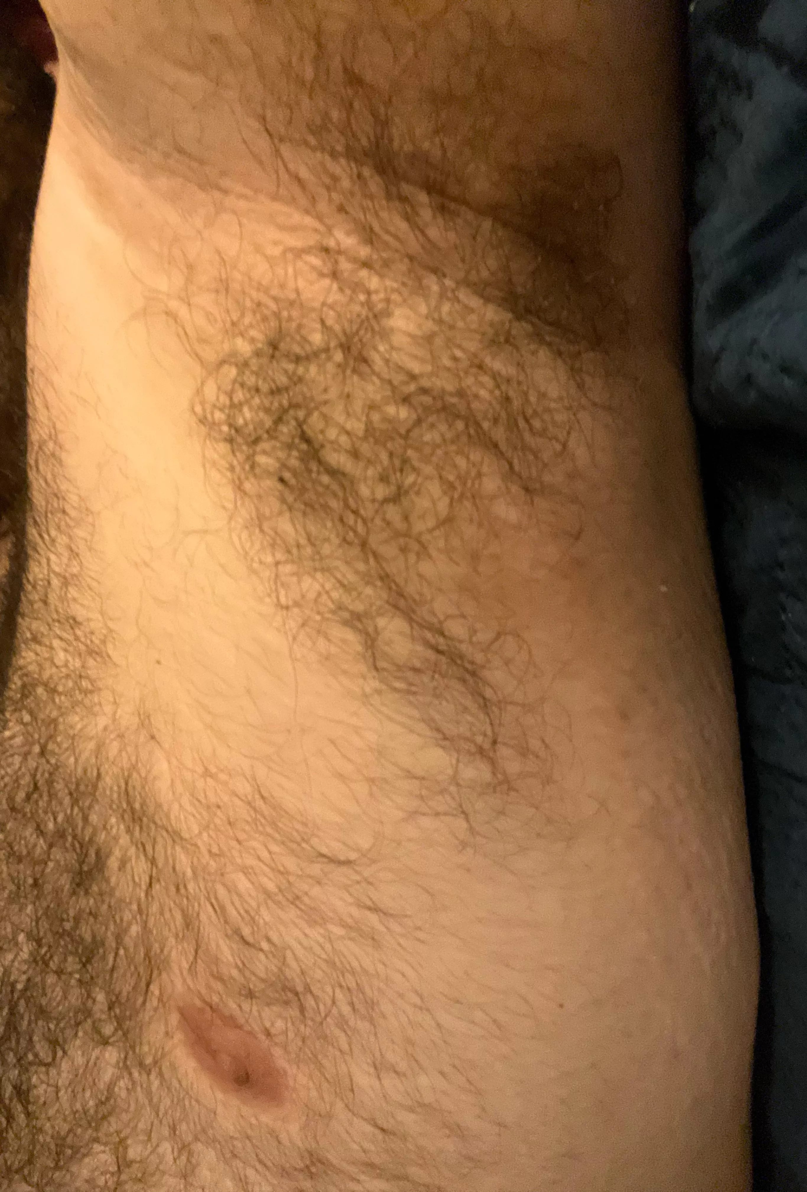 First time sharing my pits. Anyone wanna sniff? posted by hairybibro