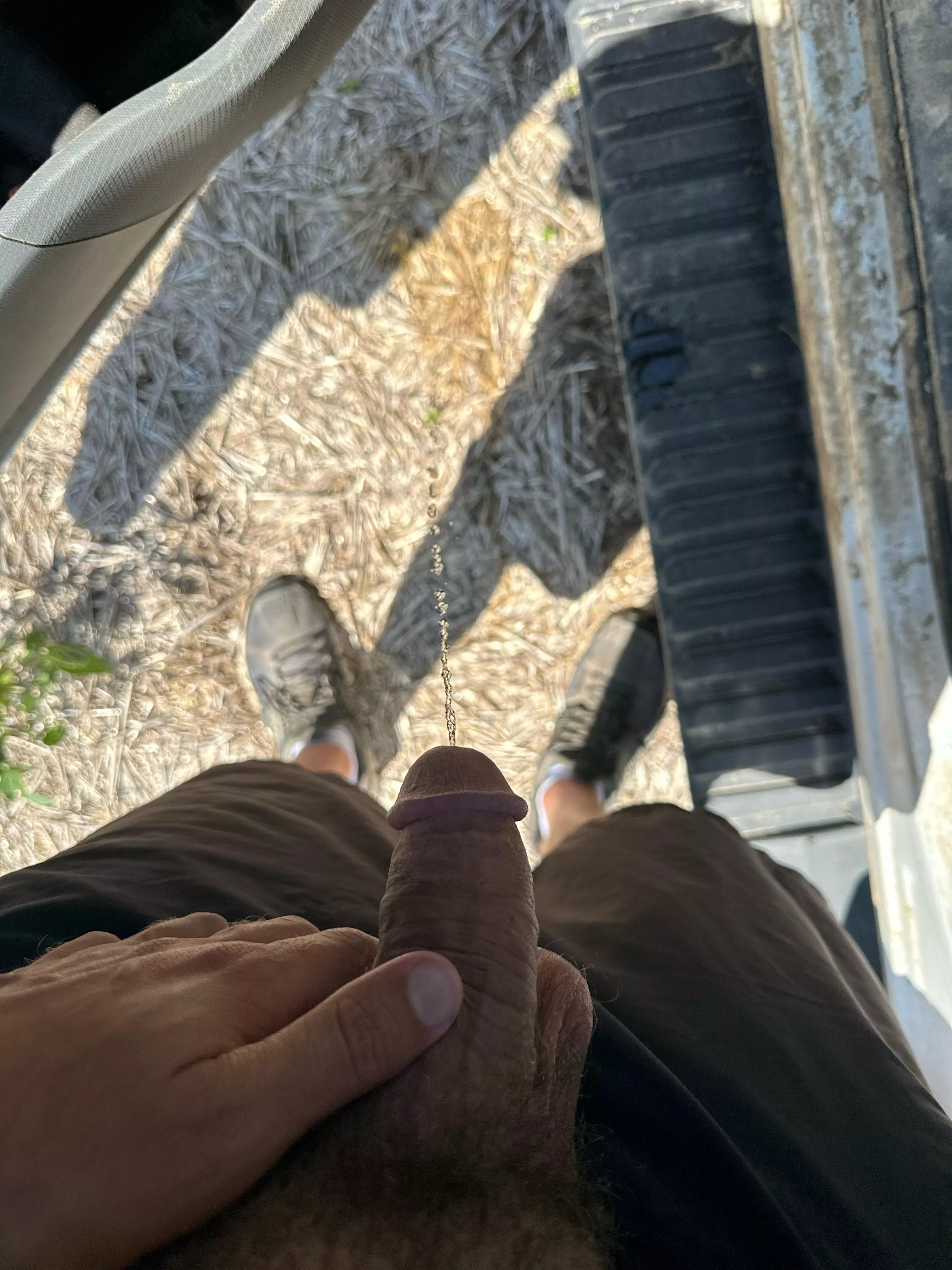 I wish I was pissing on you (27)  posted by ActaNonVerba2