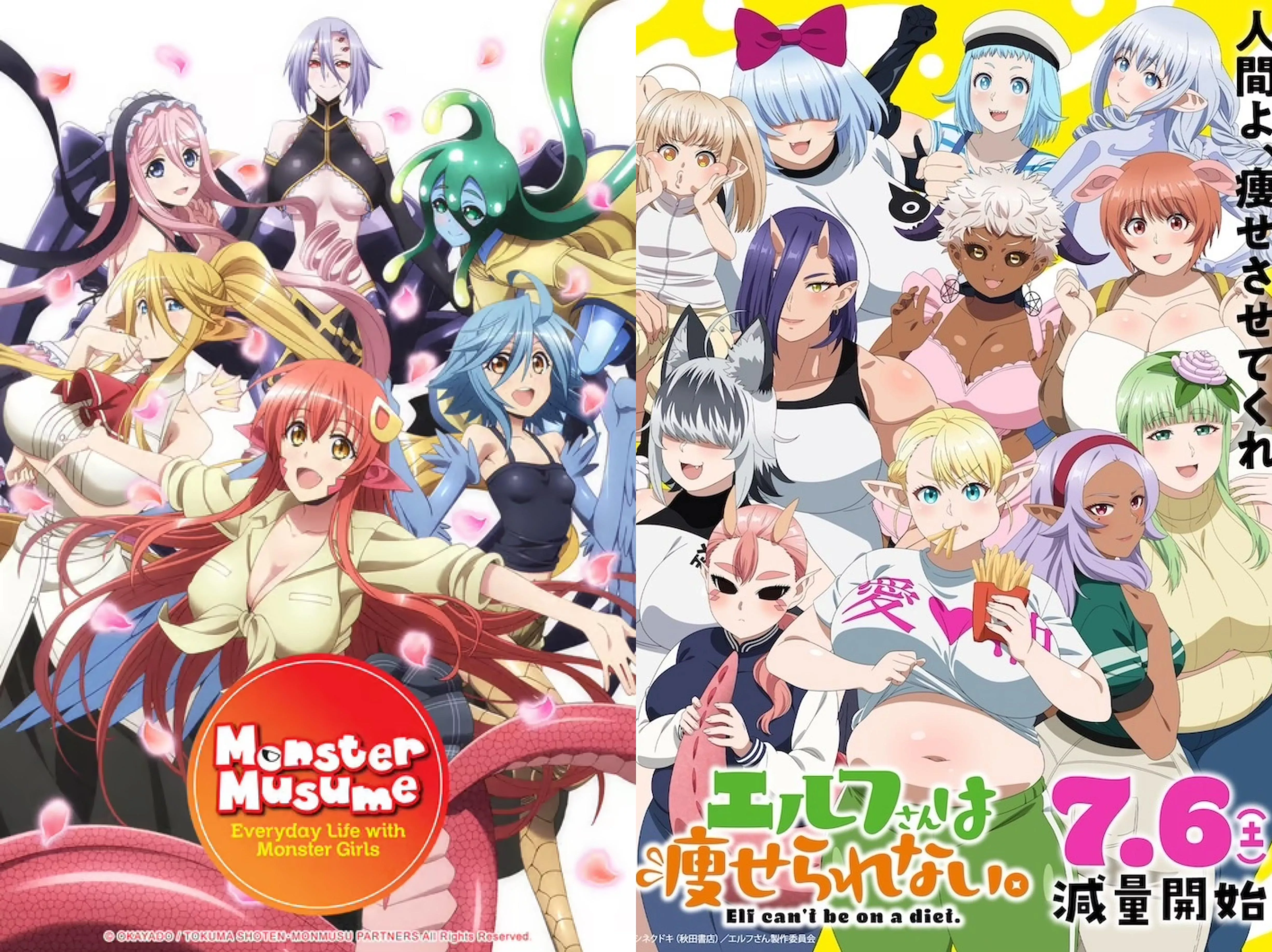 I’m convinced we just like fantasy girls regardless, because DAMN two banger series [Monster Musume and Plus Sized Elf] posted by Relevant-Cod8463