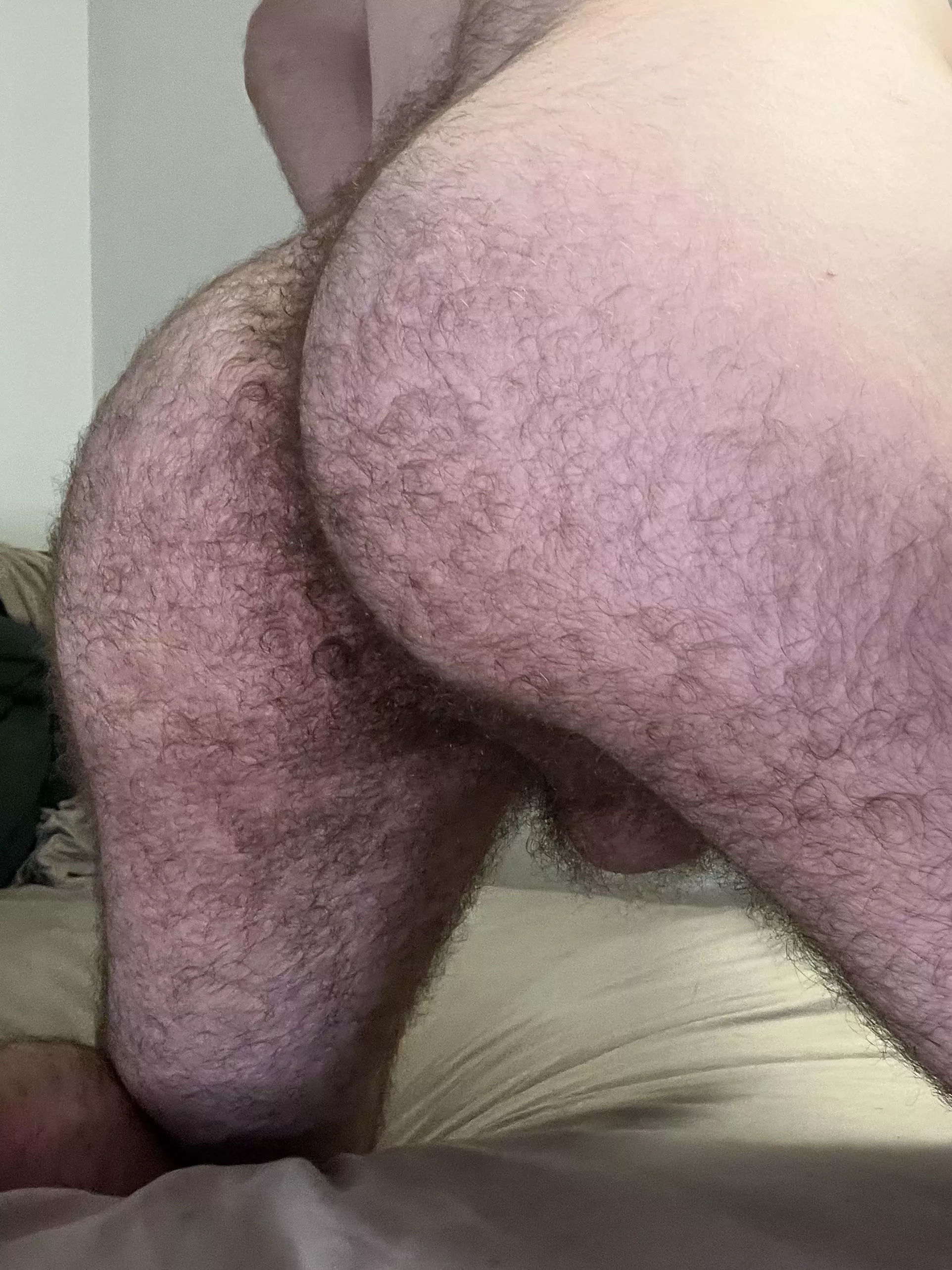 My ass hair is so soft  posted by CuteHairyStonerOF