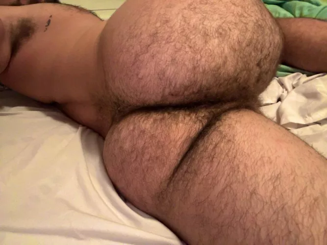 Palestinian jungle by Mojojo1252