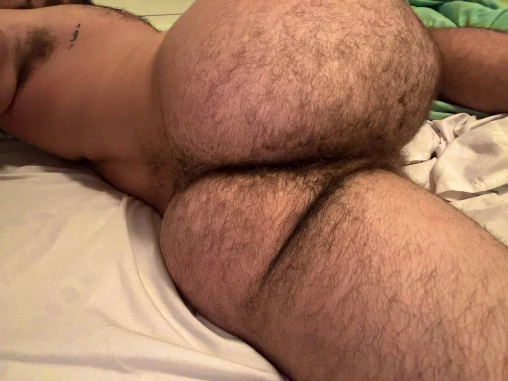 Palestinian jungle posted by Mojojo1252