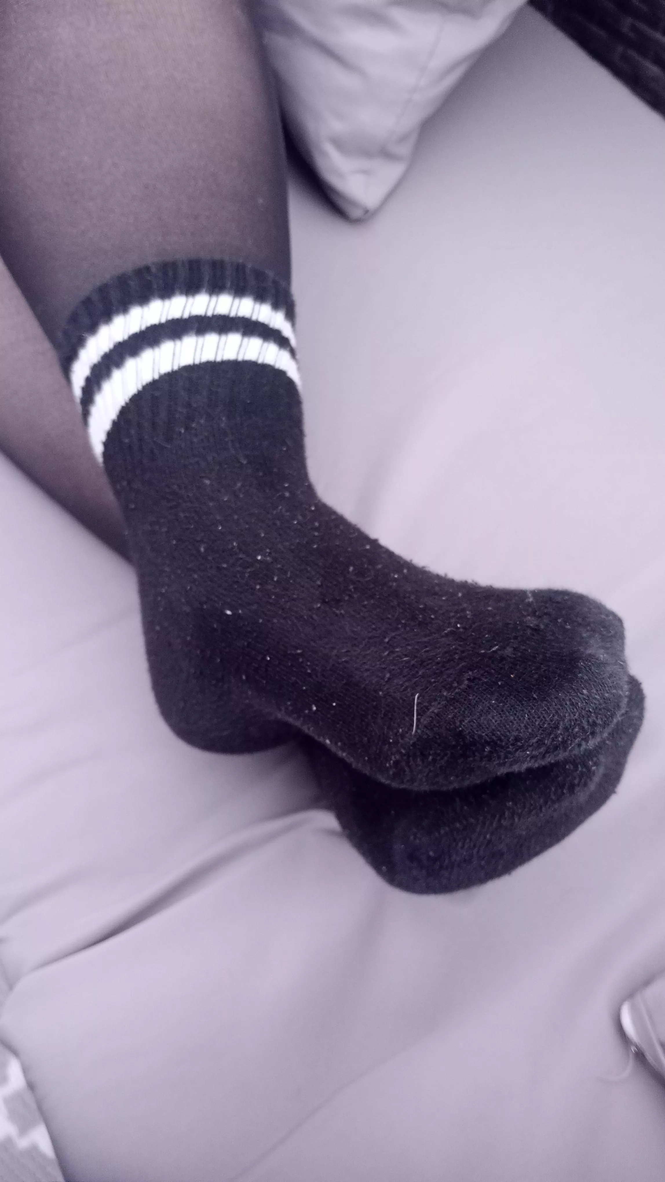 Running Out Of Room For All My Socks, Who Wants A Pair? 🤔 posted by Sockittome113