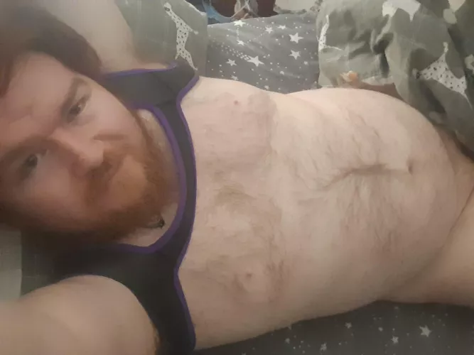 Time for a lie down by RexxThePupper