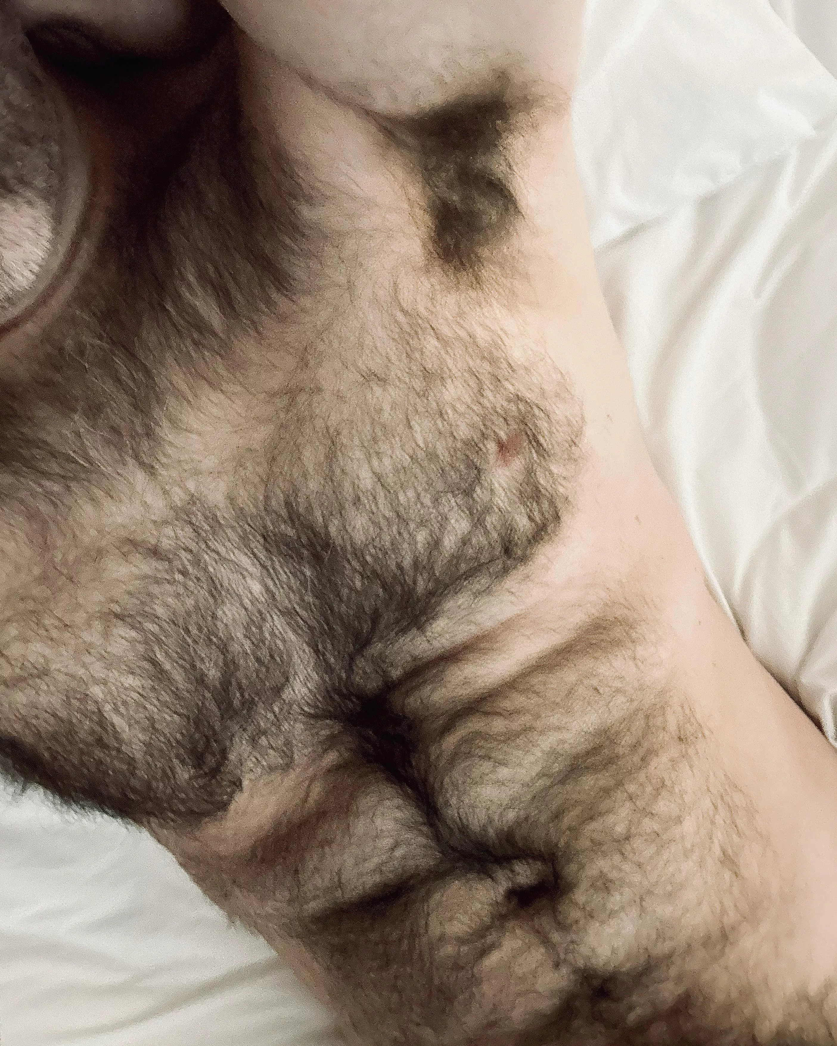 Total debauchery last night... posted by jerseyjaxoff