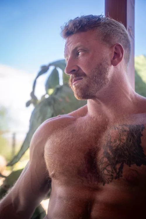 What do you think about ginger chest hair? by WetOnLev