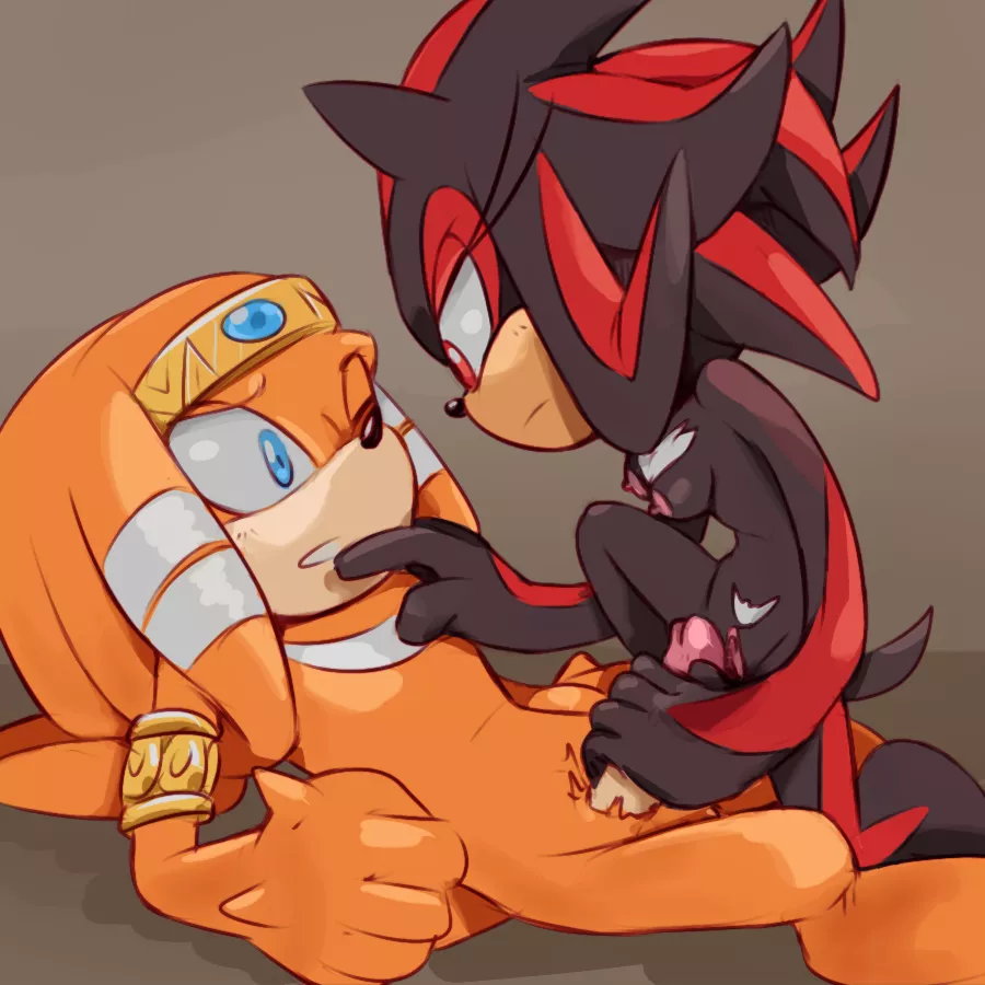 Genderbent Tikal and Shadow (Incognition) posted by Incognitial