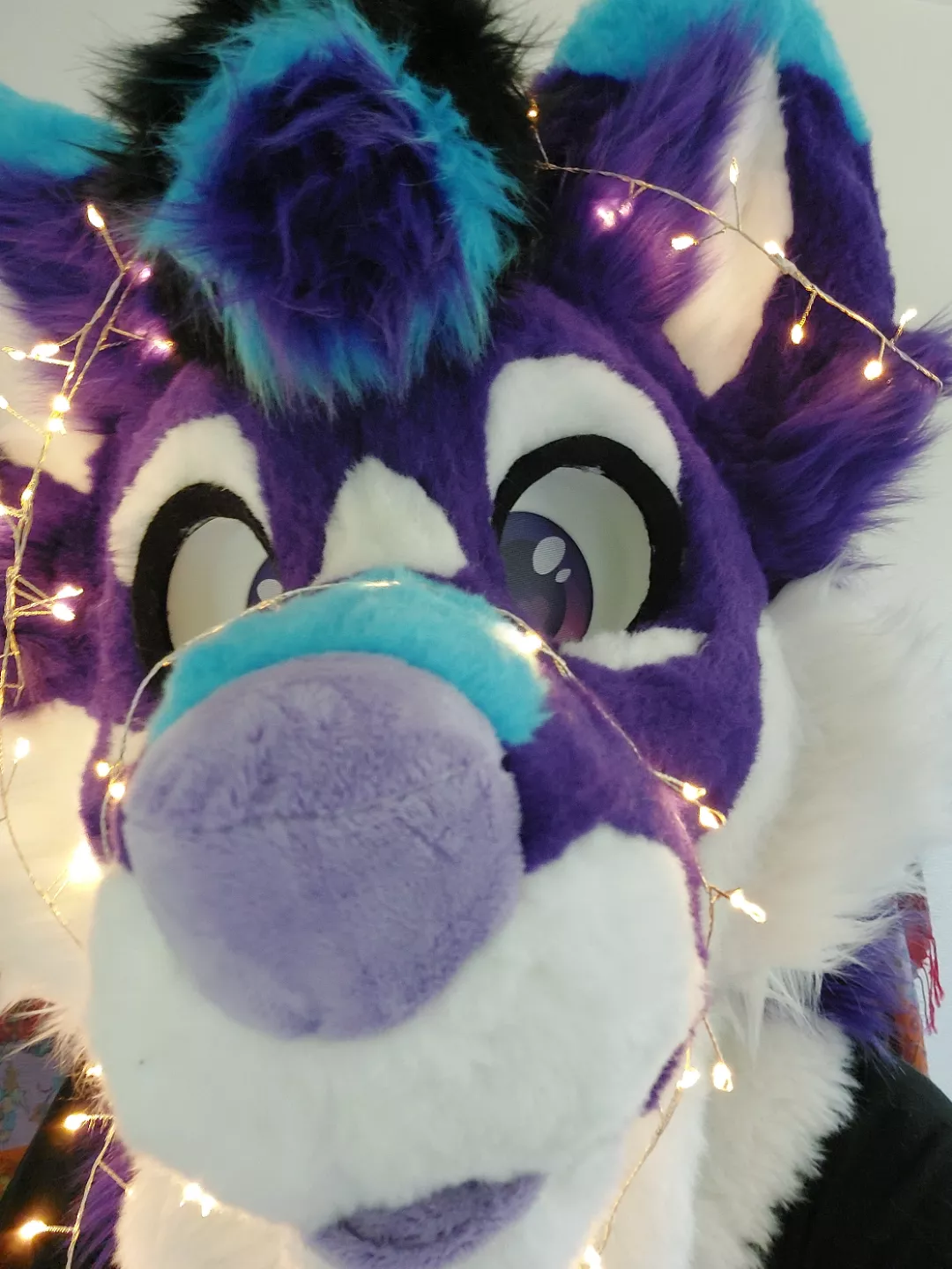 Henlo :3  posted by BassFW