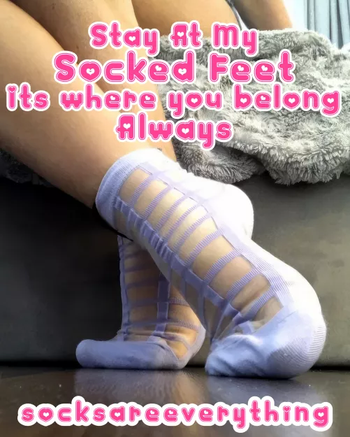 Lay down and stay at my socked feet you stupid sockssexual fucking beta loser. Its where you belong! by SocksAreEverything