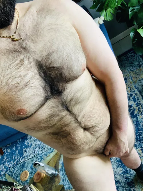 Not feeling work today! Distract me. DMs are open  by gypsybear_