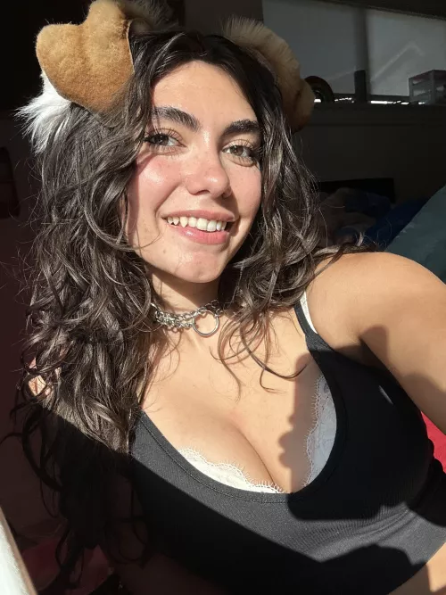 Pup loves the sun by babyivyafterdark