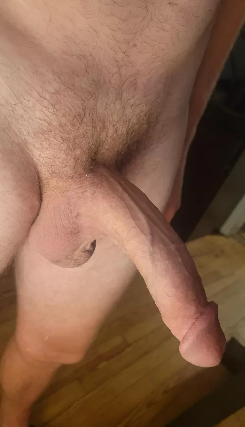 Would be rude not to show you by Ok-Lengthiness-4770