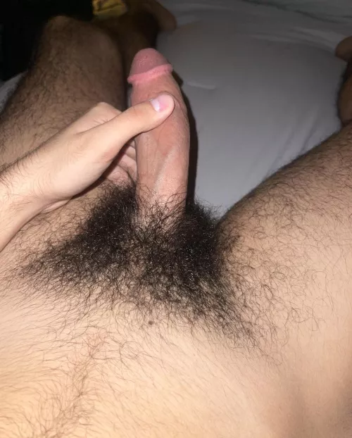 (21) Lil bros add Jaredd_021 cut+++ bush+++ younger by JJAVR