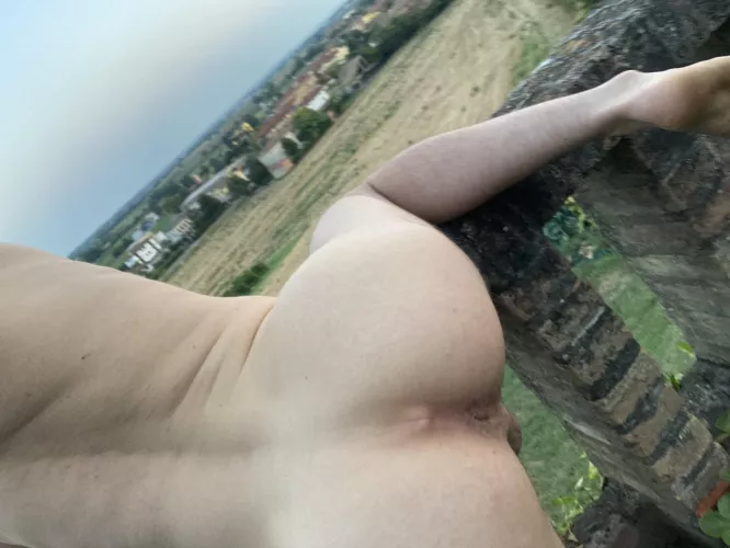 am i breedable? by kitty-boy_420