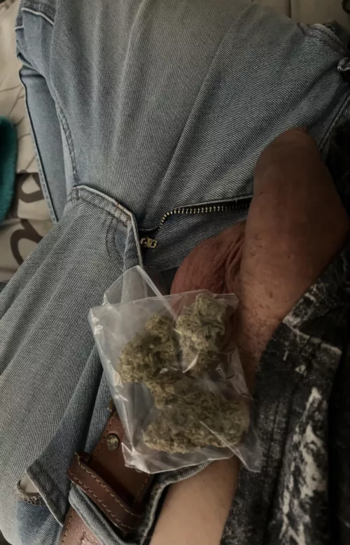 Anyone in the [M]ood for some Zurple and chilling naked by FReNcHie4582