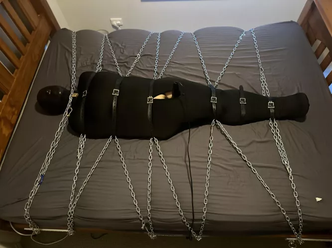 Hooded, plugged and put in a bondage sleepsack, chained to the bed and played reprogramming voice recordings (in the own voice) in a loop while they are forced to orgasm over and over again.  by Alone-Database2611