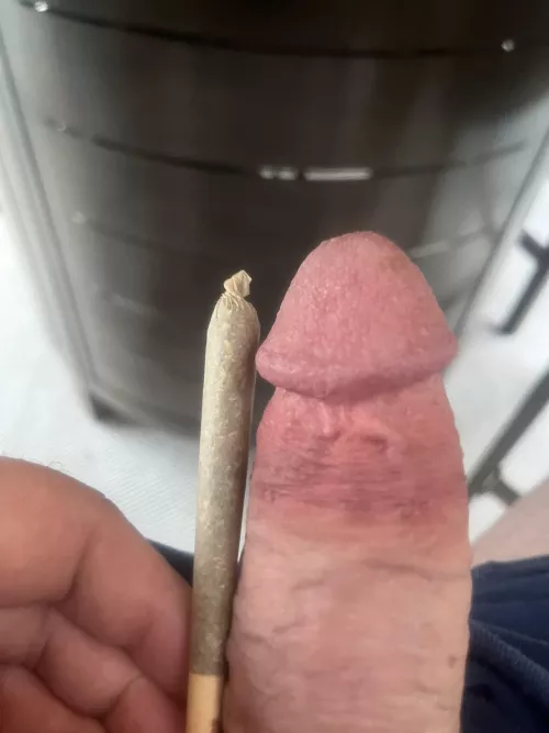 (M) Which one first? by Looking4fundaily