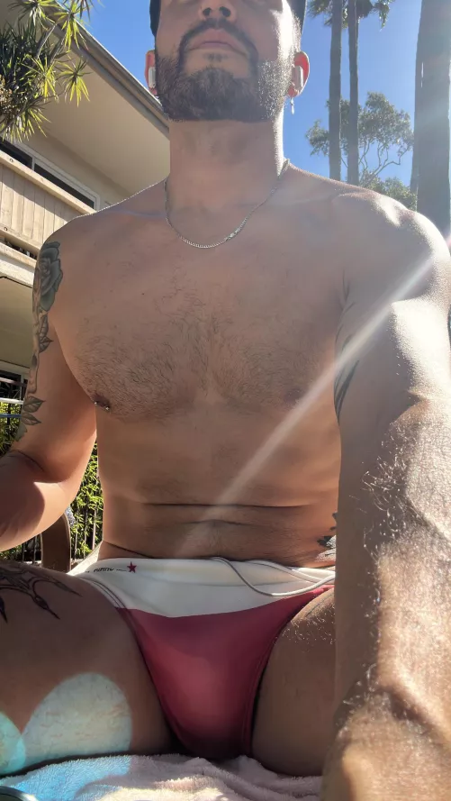 Otter by the pool by notorious_dani_boy