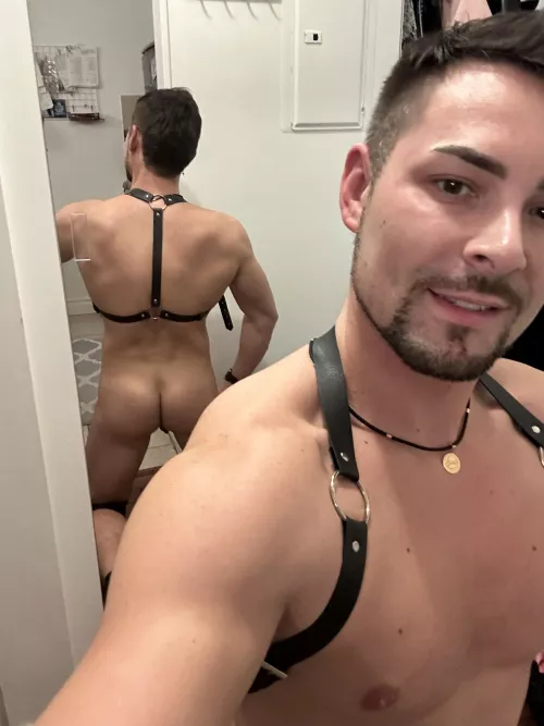 You like the view? by GoldieSunny