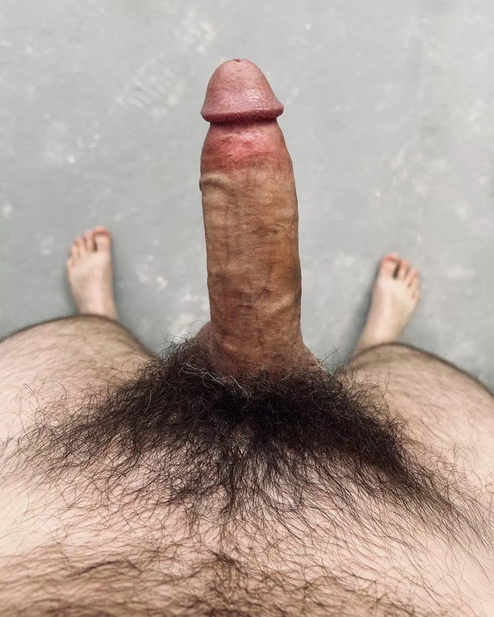 Cock Fur posted by Ok_Orange_5228