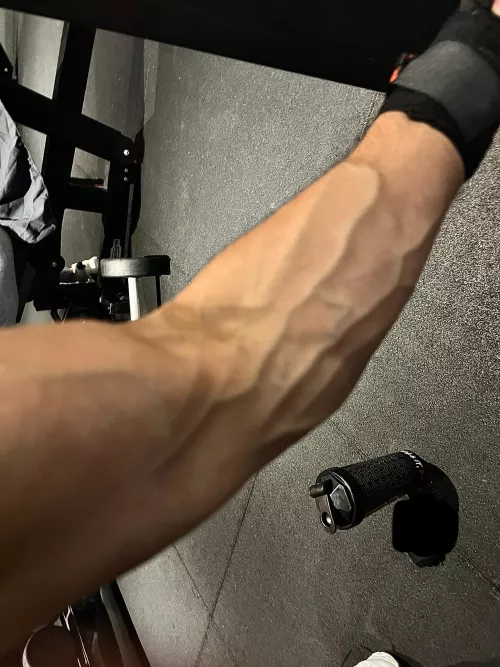 Give me the next witty caption by Ace-of-king