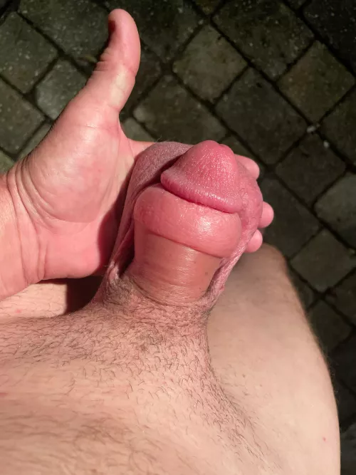 I love a swollen cock by Confident-Welcome231