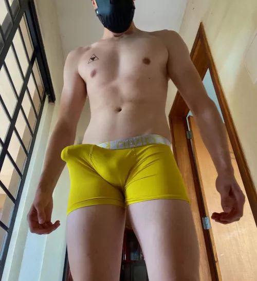 I'll make you smell and lick my bulge before using your mouth by kevsanderx