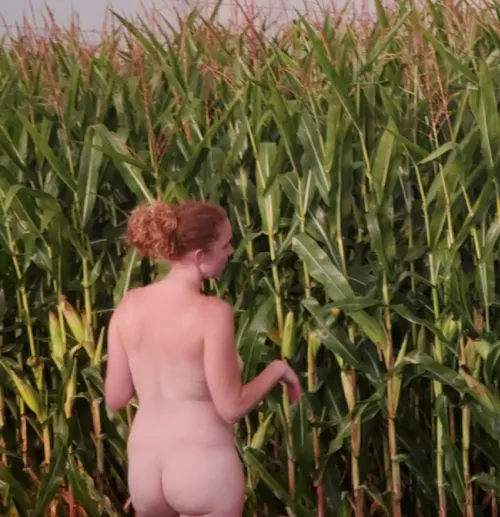 Just checking out the back 40 by fieryforyou